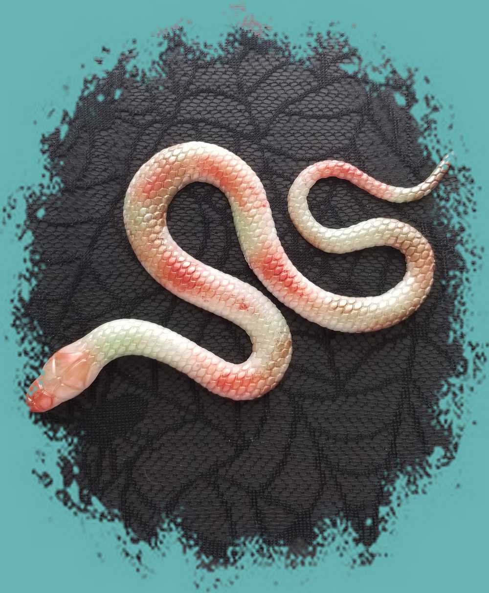 Resin Snake