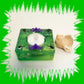 Square Green Candle Holder for a Battery Candle with Black Spiders and Purple Bats