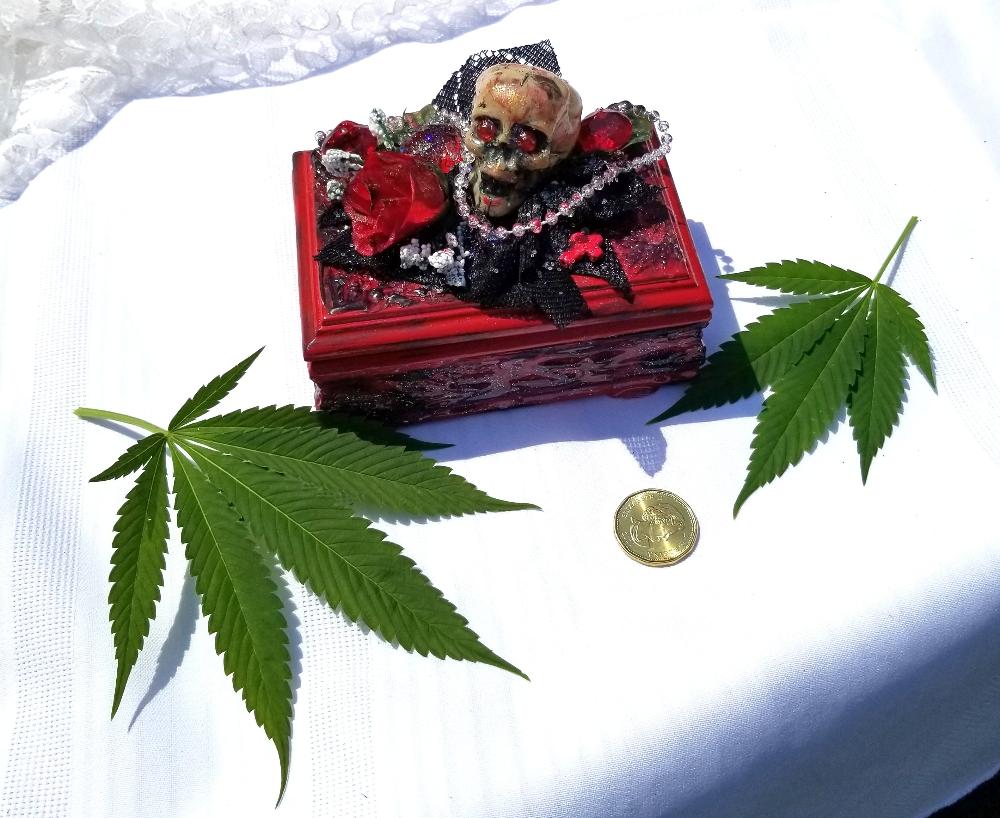 Small Red and Black Jewelry Box with a Skull and a Red Rose